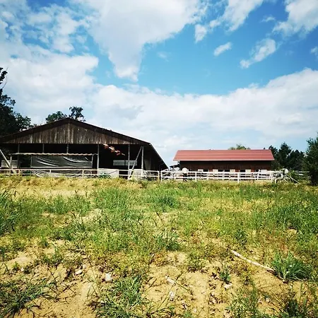 Cosy In The Nature * Graz