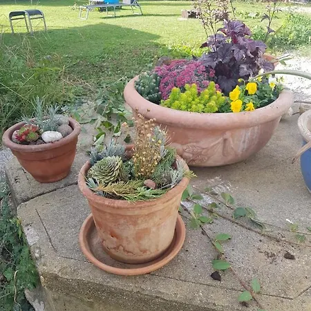 Διαμέρισμα Cosy In The Nature