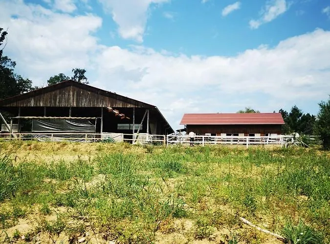 Cosy In The Nature * Graz