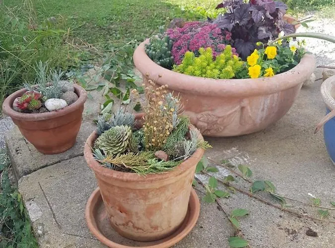 Διαμέρισμα Cosy In The Nature